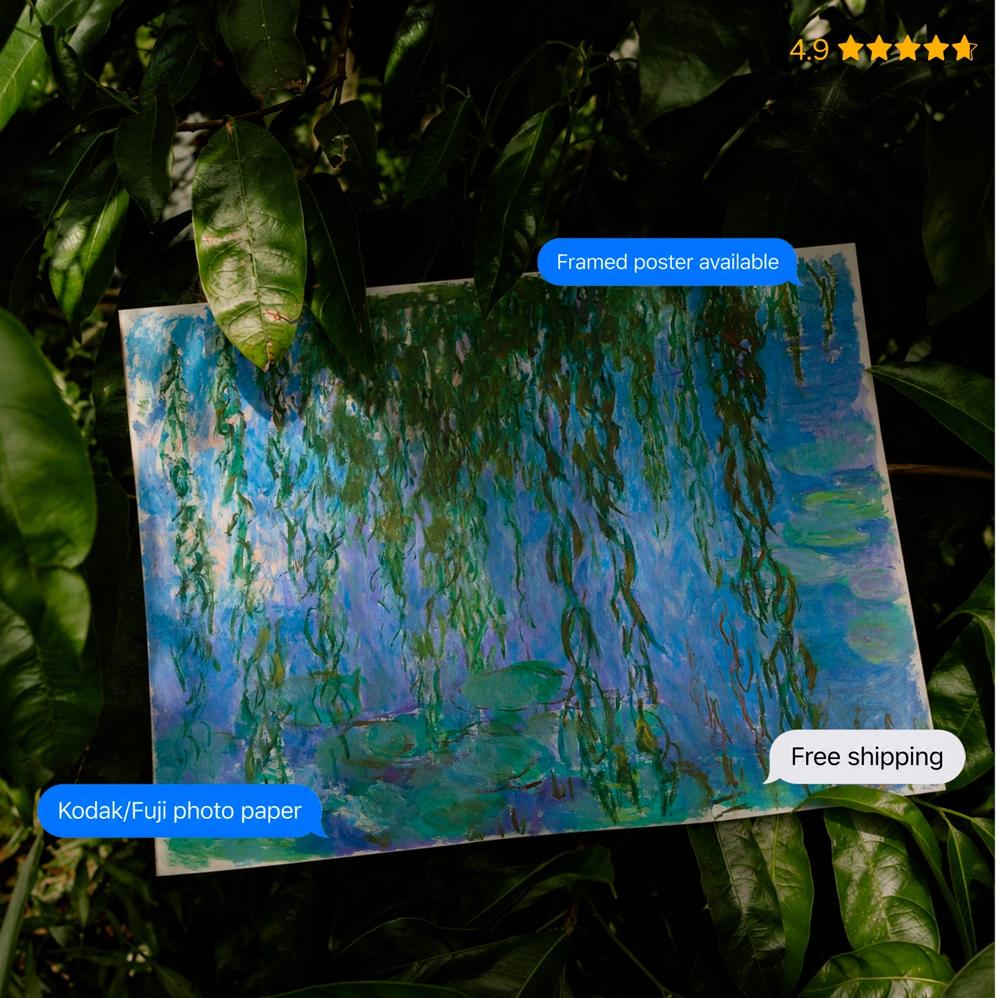 Water Lilies and Weeping Willow Branches by Monet Poster & Framed Print
