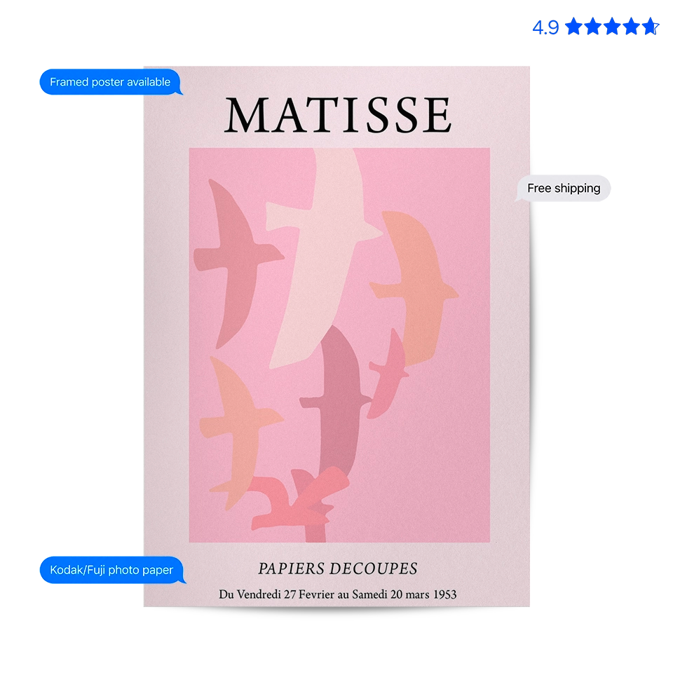 Matisse Birds — Cut-Out Art Print Pink Poster & Framed Print