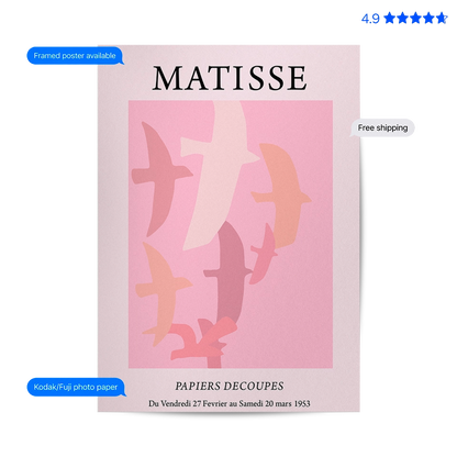 Matisse Birds — Cut-Out Art Print Pink Poster & Framed Print