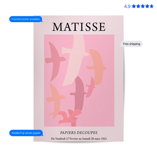 Matisse Birds — Cut-Out Art Print Pink Poster & Framed Print
