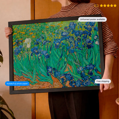 Irises 2 by Vincent van Gogh Poster & Framed Print