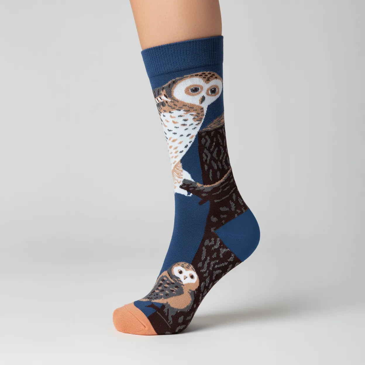 Night Watch Owls Art Socks