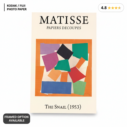 The Snail (1953) Henri Matisse Cut-Out