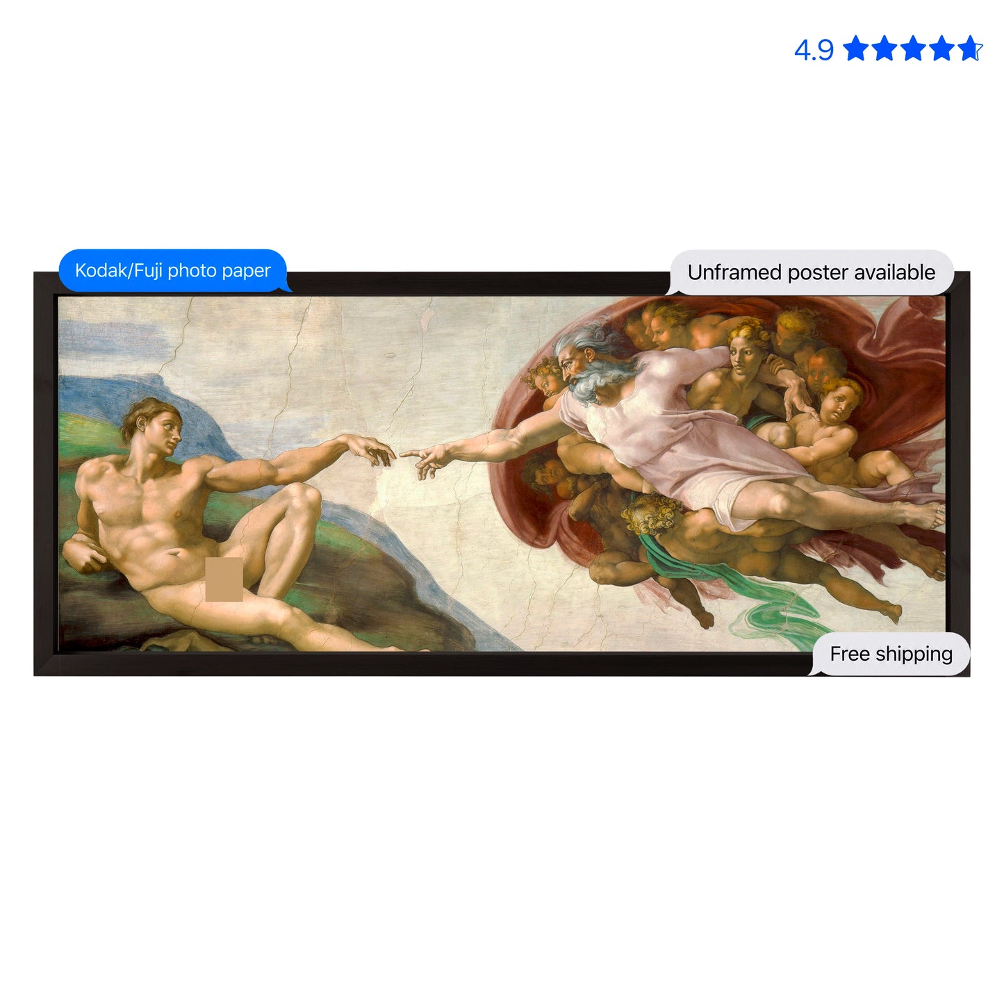 The Creation of Adam Poster & Framed Print