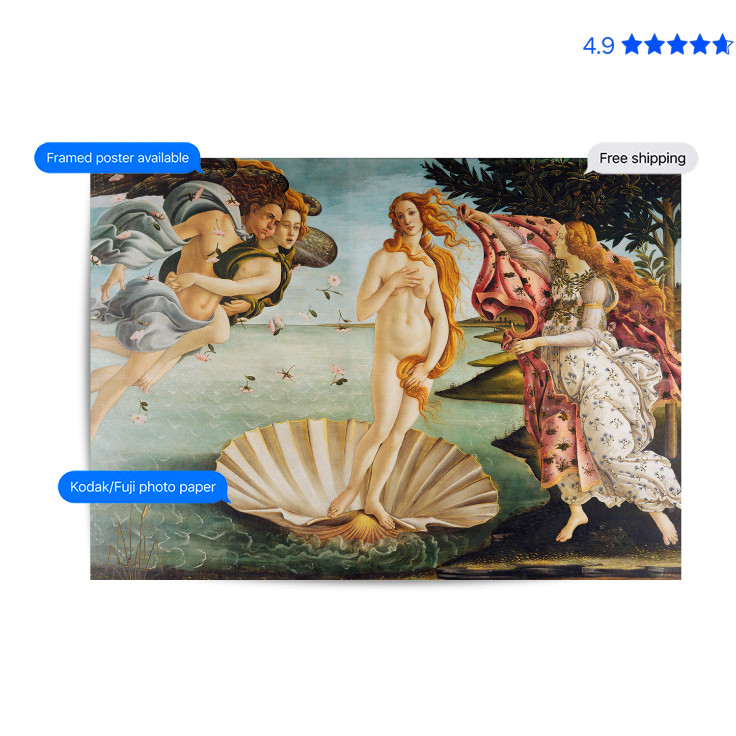 Birth of Venus Poster & Framed Print