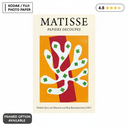 White Alga on Orange and Red Background (1947) Henri Matisse Cut-Out - Nukkad Studios