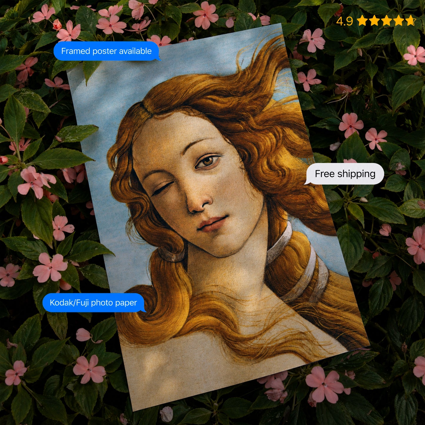 Venus's Wink Poster & Framed Print